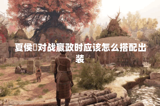 夏侯惇对战嬴政时应该怎么搭配出装？嬴政对抗夏侯惇的出装策略是什么？