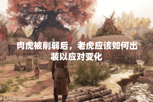 肉虎被削弱后，老虎应该如何出装以应对变化？