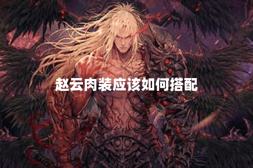 赵云肉装应该如何搭配？出装顺序是怎样的？