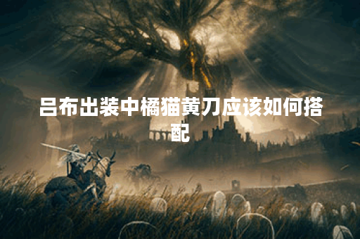 吕布出装中橘猫黄刀应该如何搭配？橘猫黄刀在吕布出装中如何选择？