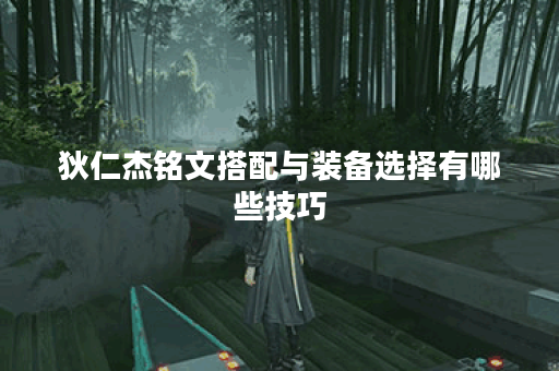狄仁杰铭文搭配与装备选择有哪些技巧？
