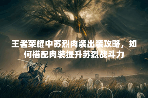 王者荣耀中苏烈肉装出装攻略，如何搭配肉装提升苏烈战斗力？