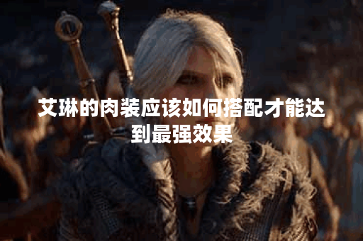 艾琳的肉装应该如何搭配才能达到最强效果？如何选择肉装装备使艾琳战斗力最大化？