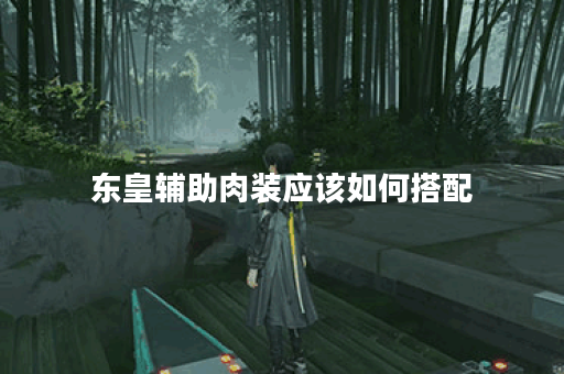 东皇辅助肉装应该如何搭配？肉装出装顺序有哪些？