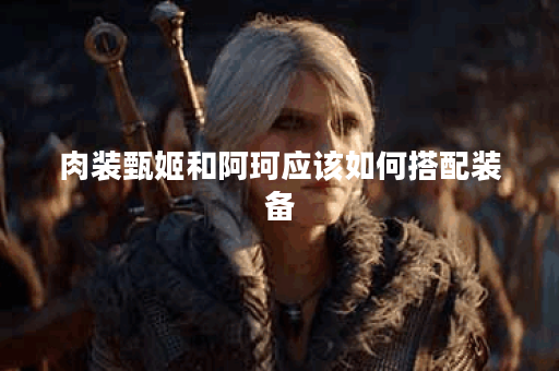 肉装甄姬和阿珂应该如何搭配装备? 肉装甄姬和阿珂应该如何搭配装备?