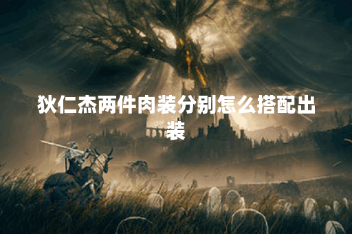 狄仁杰两件肉装分别怎么搭配出装？如何合理搭配两件肉装提升狄仁杰战斗力？