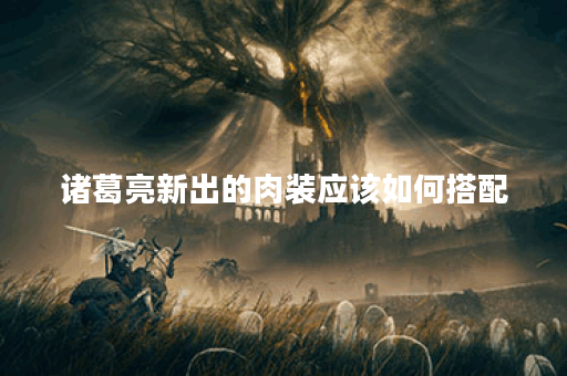 诸葛亮新出的肉装应该如何搭配？肉装出装顺序有哪些推荐？
