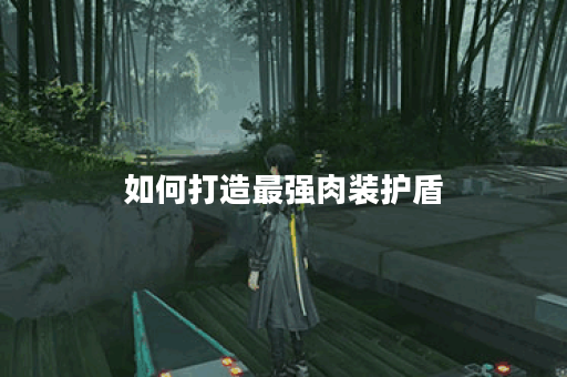 如何打造最强肉装护盾?出装攻略详解包含关键词 如何打造最强肉装护盾?出装攻略详解包含关键词