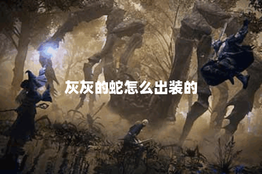 灰灰的蛇怎么出装的