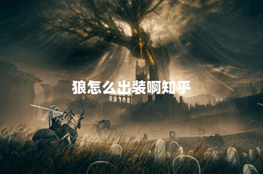 狼怎么出装啊知乎 狼怎么出装啊知乎